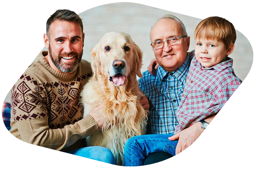 Seguro para mascotas pyt seguros